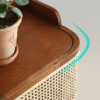 WoodBee Craft "The Haven" Premium Cane Shoe Storage Cabinet