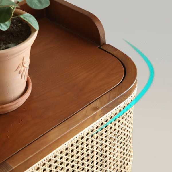 WoodBee Craft "The Haven" Premium Cane Shoe Storage Cabinet